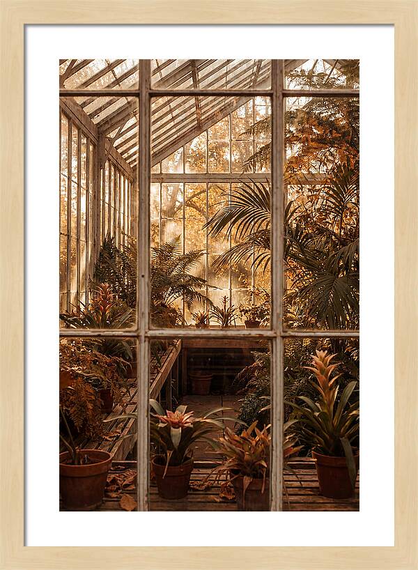 Glass Conservatory Oasis