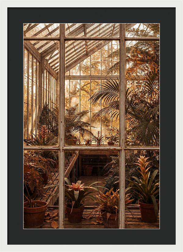 Glass Conservatory Oasis