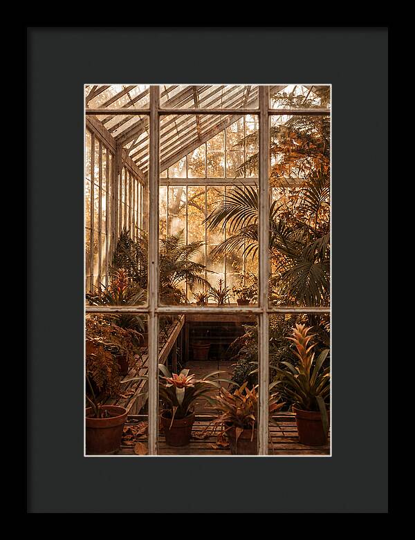 Glass Conservatory Oasis