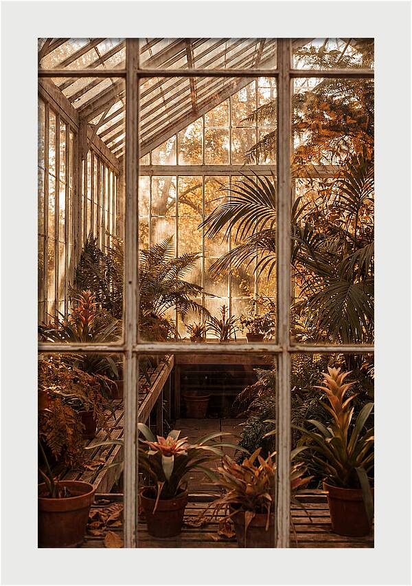 Glass Conservatory Oasis