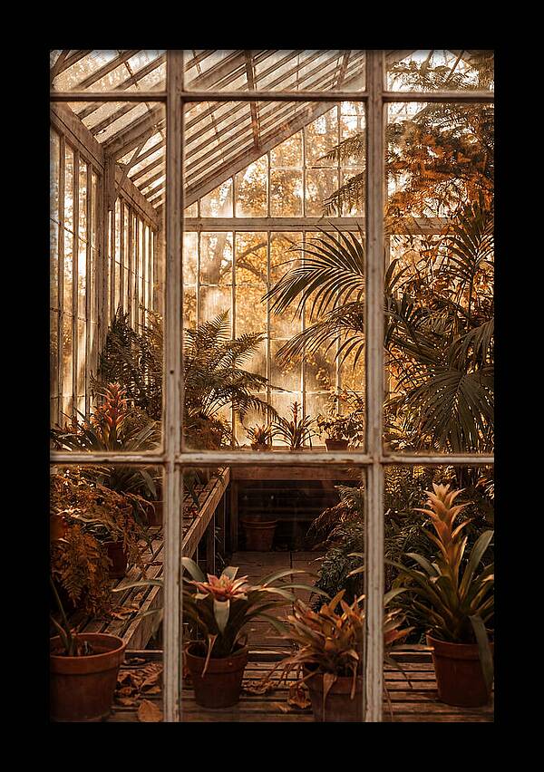 Glass Conservatory Oasis