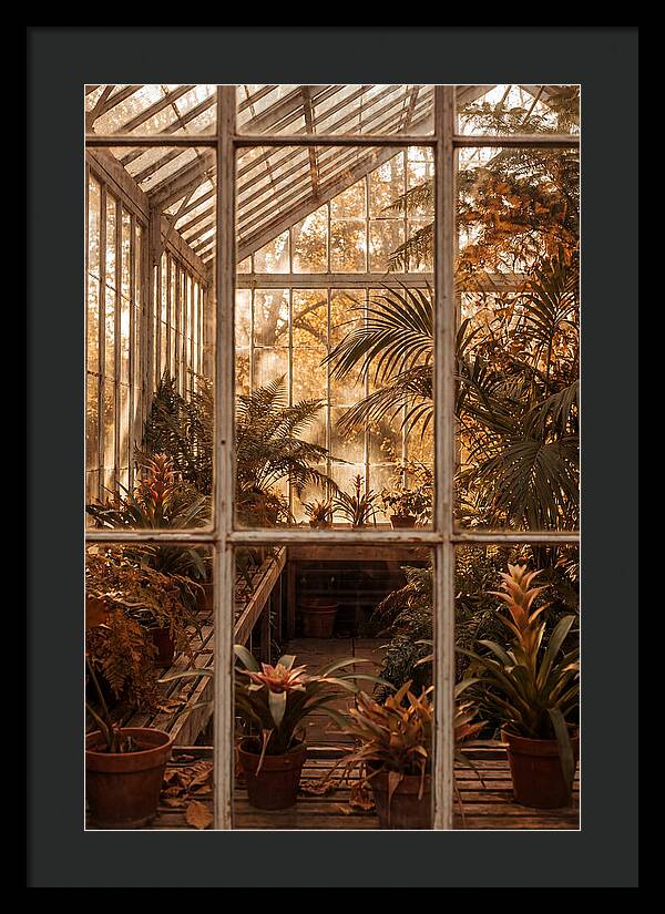 Glass Conservatory Oasis