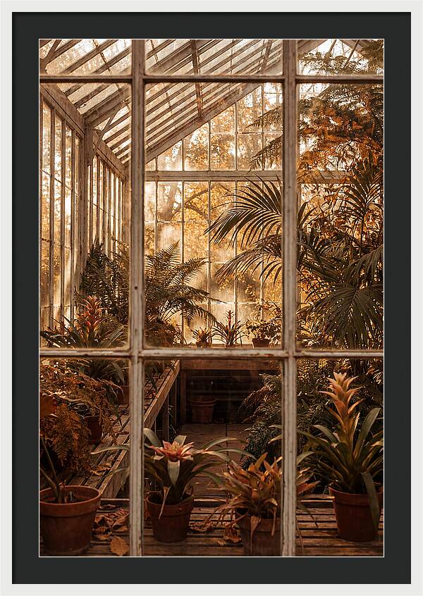 Glass Conservatory Oasis