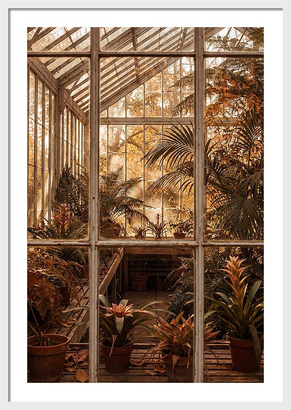 Glass Conservatory Oasis