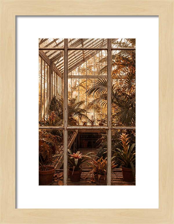 Glass Conservatory Oasis