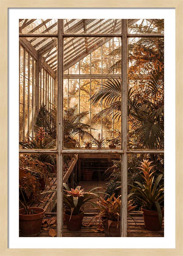 Glass Conservatory Oasis