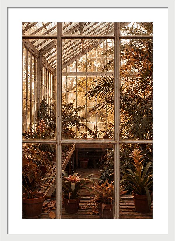 Glass Conservatory Oasis