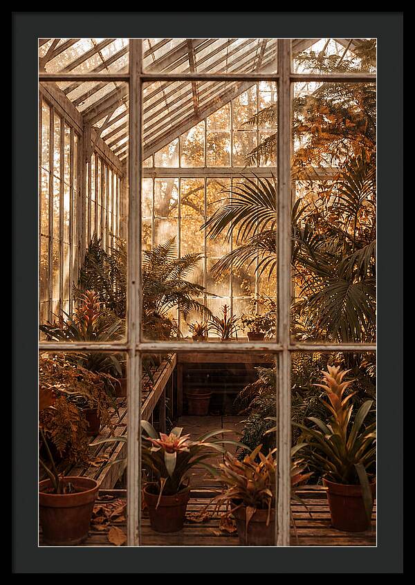 Glass Conservatory Oasis