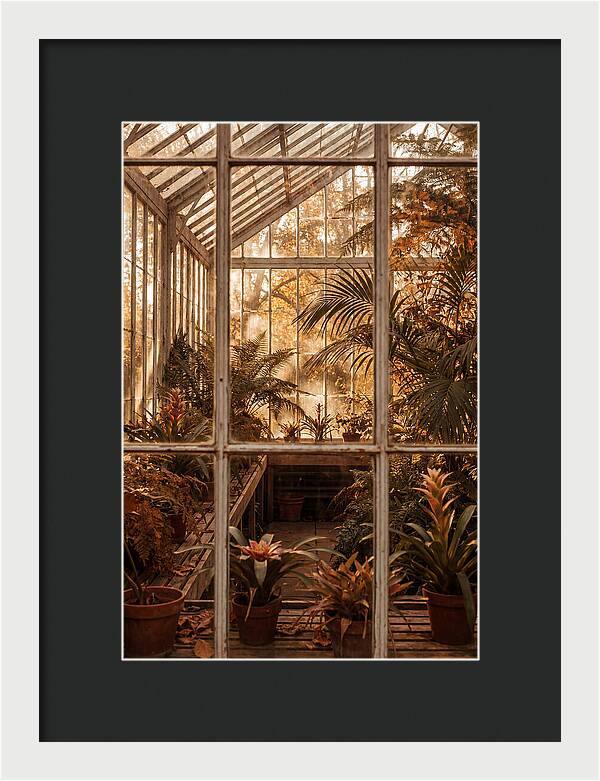 Glass Conservatory Oasis