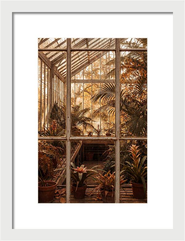 Glass Conservatory Oasis