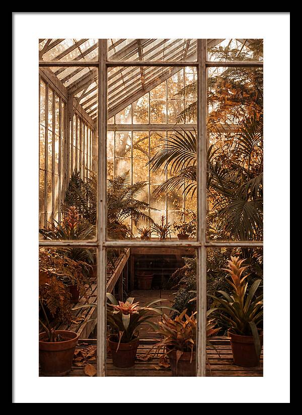 Glass Conservatory Oasis