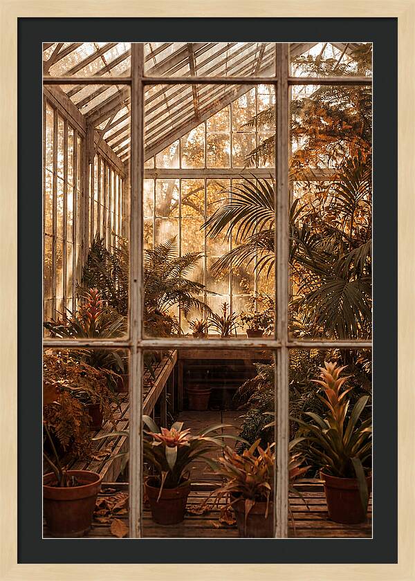 Glass Conservatory Oasis