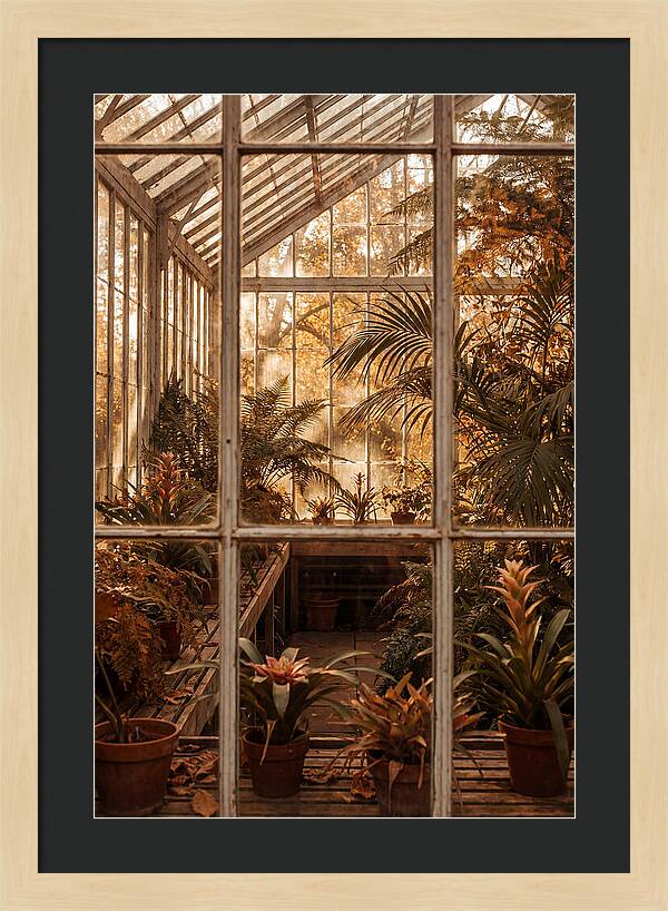 Glass Conservatory Oasis