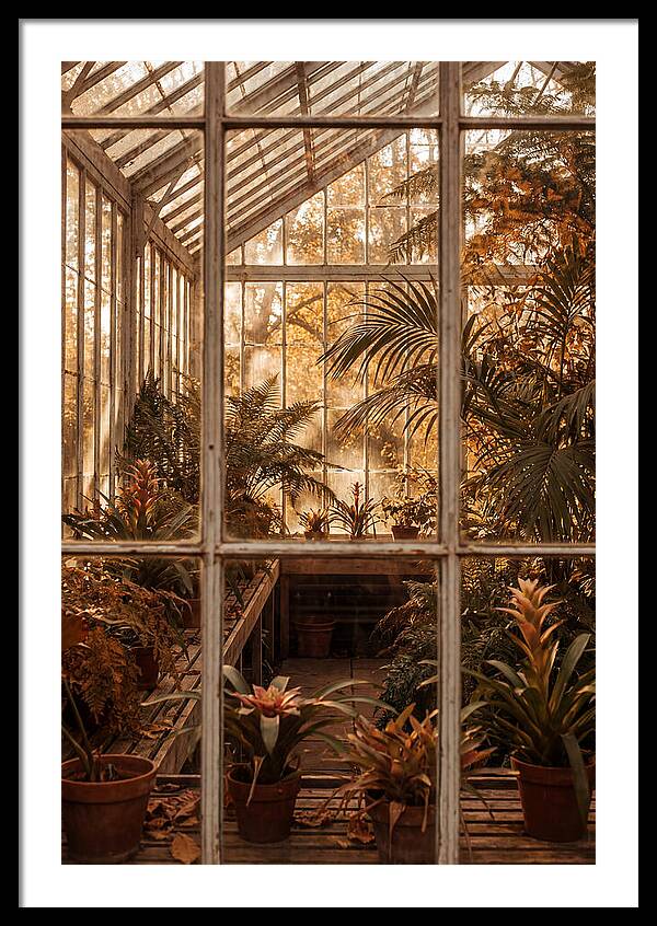 Glass Conservatory Oasis