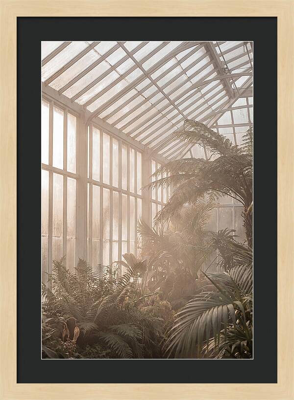Glass Conservatory Serenity