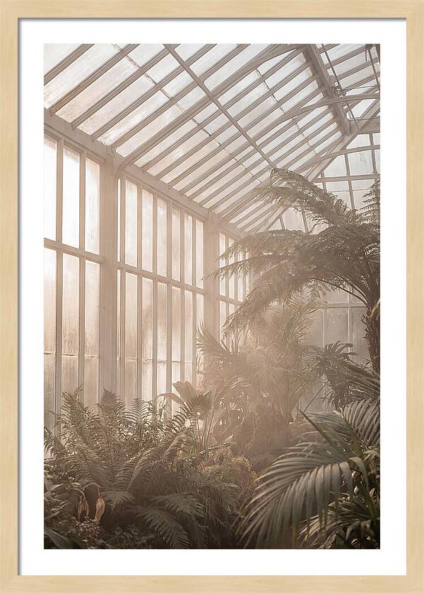 Glass Conservatory Serenity