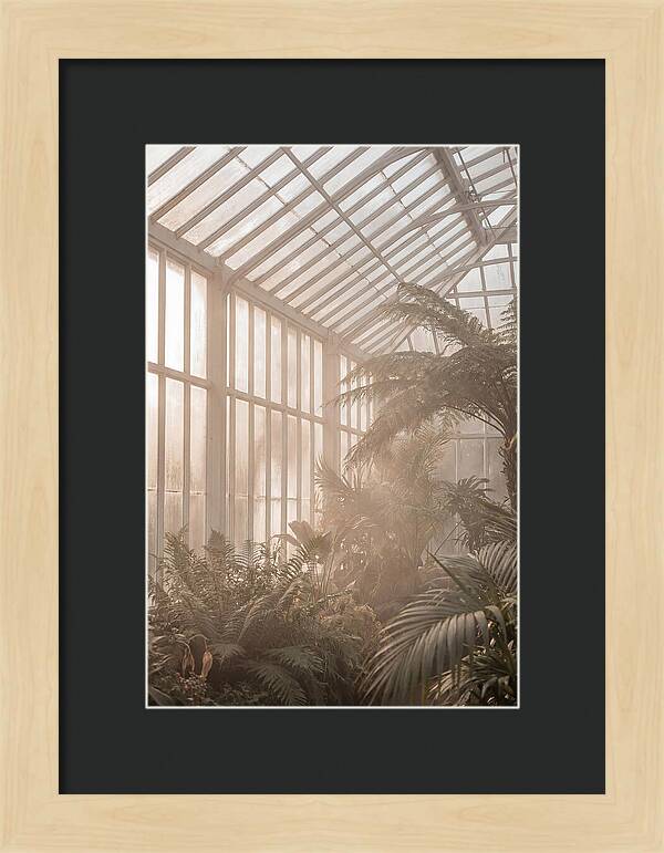 Glass Conservatory Serenity