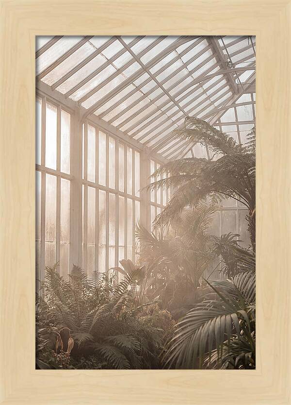 Glass Conservatory Serenity