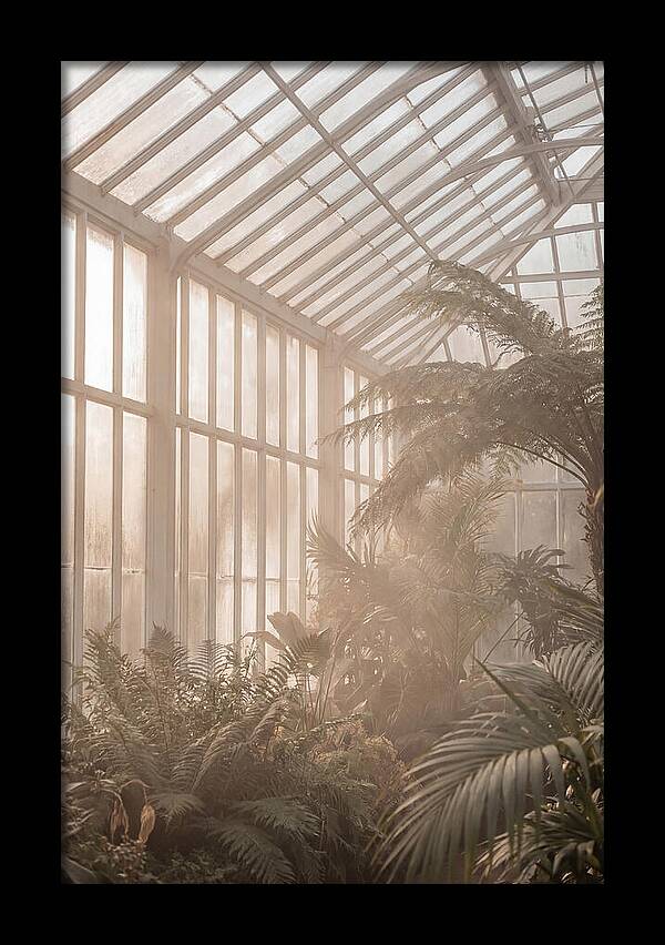 Glass Conservatory Serenity
