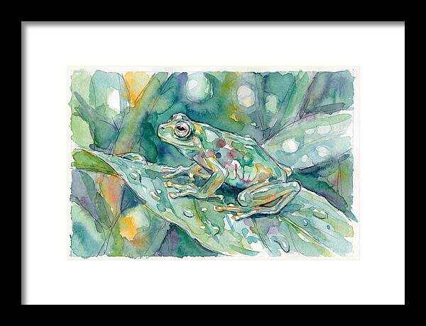 Glass Frog Among Leaves