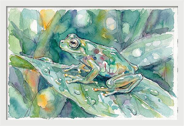 Glass Frog Among Leaves