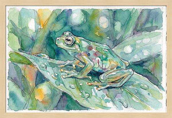 Glass Frog Among Leaves