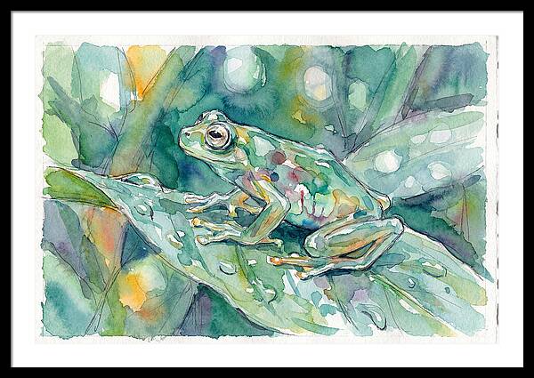 Glass Frog Among Leaves