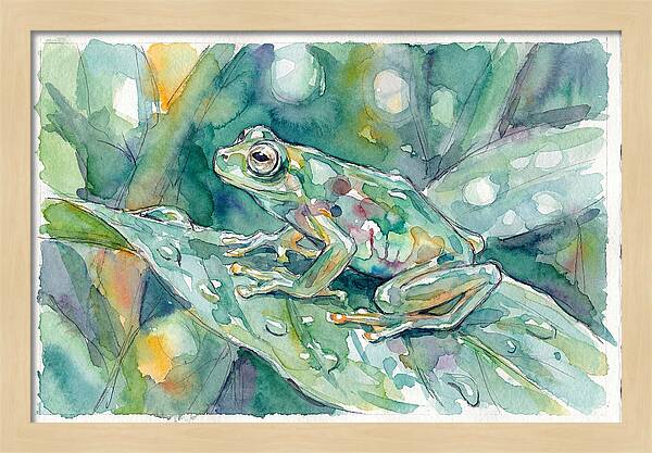Glass Frog Among Leaves