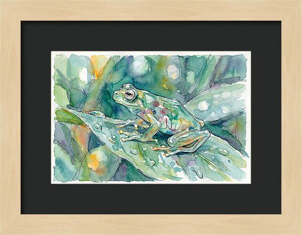 Glass Frog Among Leaves