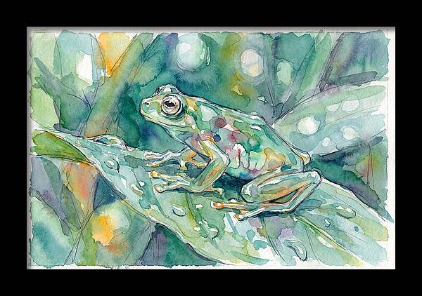 Glass Frog Among Leaves