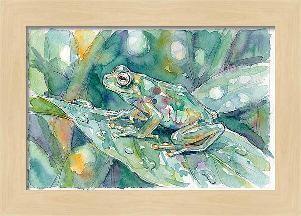 Glass Frog Among Leaves