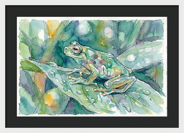 Glass Frog Among Leaves