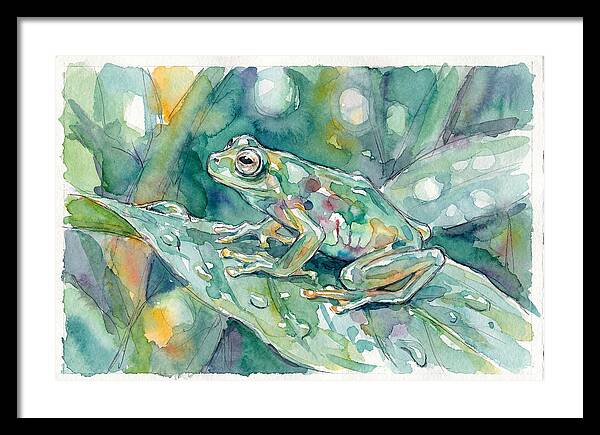 Glass Frog Among Leaves