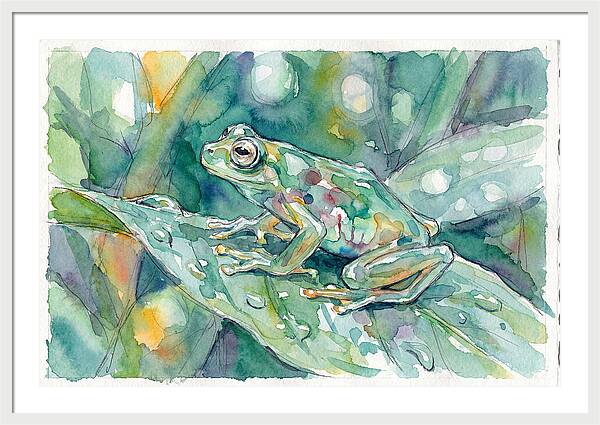 Glass Frog Among Leaves