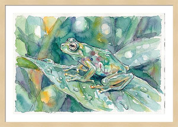 Glass Frog Among Leaves