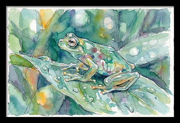 Glass Frog Among Leaves