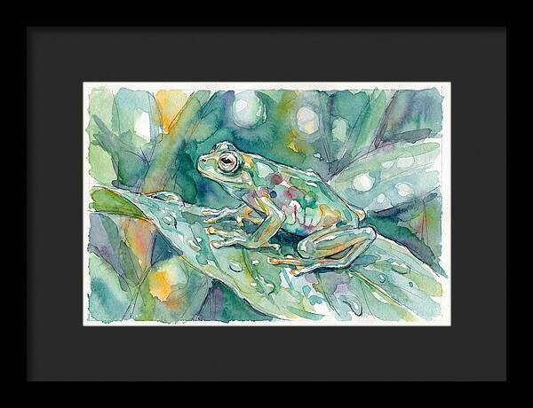 Glass Frog Among Leaves