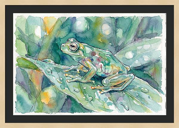Glass Frog Among Leaves