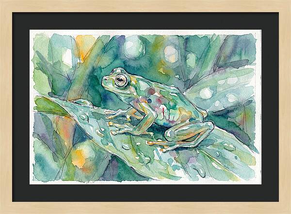 Glass Frog Among Leaves