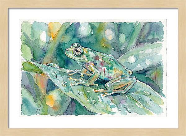 Glass Frog Among Leaves