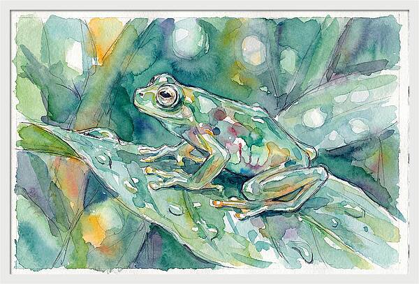 Glass Frog Among Leaves