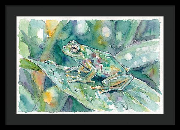 Glass Frog Among Leaves