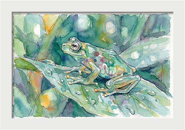 Glass Frog Among Leaves