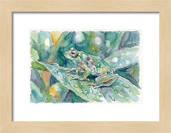 Glass Frog Among Leaves