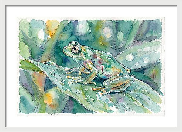 Glass Frog Among Leaves