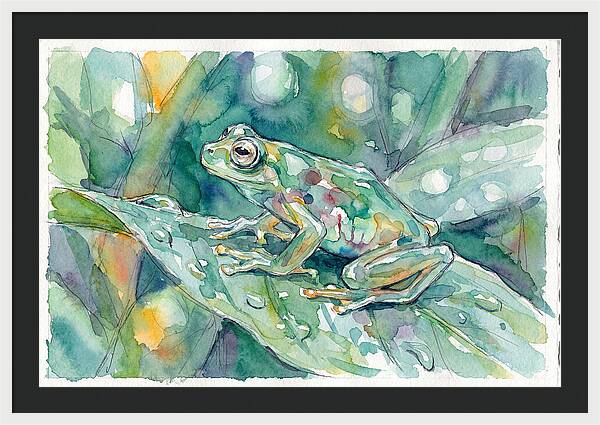 Glass Frog Among Leaves