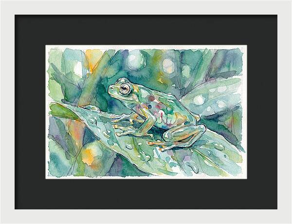 Glass Frog Among Leaves
