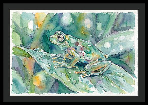 Glass Frog Among Leaves