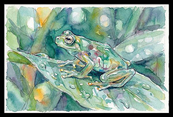 Glass Frog Among Leaves