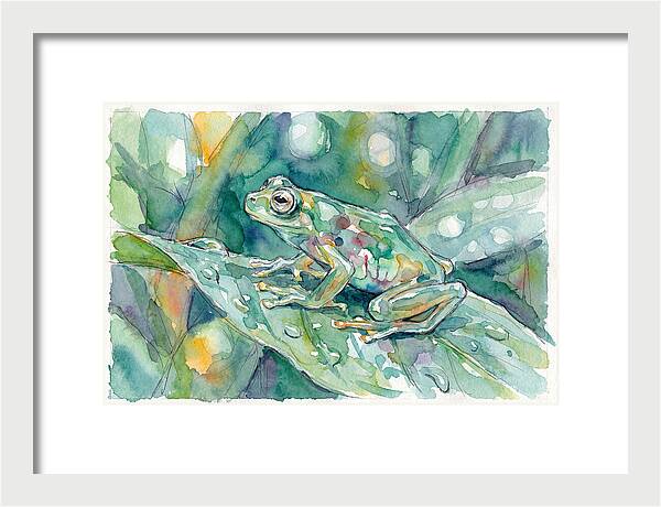 Glass Frog Among Leaves